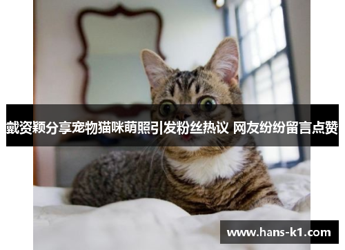 戴资颖分享宠物猫咪萌照引发粉丝热议 网友纷纷留言点赞