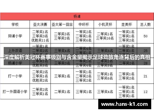 深度解析美冠杯赛事级别与含金量揭示足球劲旅角逐背后的真相