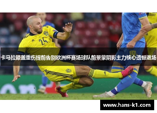 卡马拉膝盖重伤提前告别欧洲杯赛场球队前景蒙阴影主力核心遗憾退场