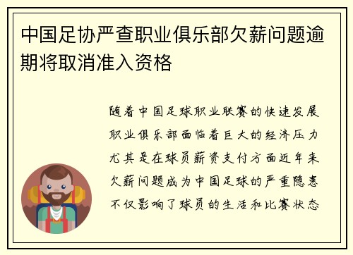 中国足协严查职业俱乐部欠薪问题逾期将取消准入资格